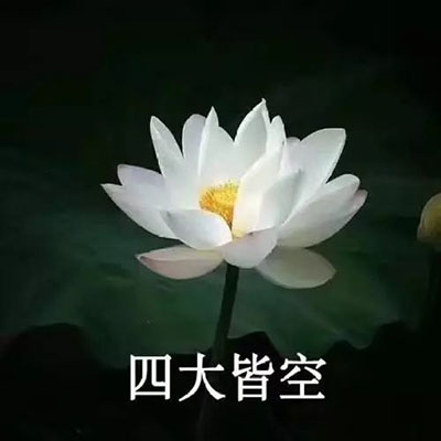 微信图片_20191220094318 拷贝.jpg 微信图片_20191220094318 拷贝.jpg